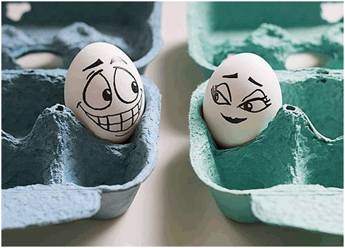 Guy and Girl Eggs flirting in an egg carton