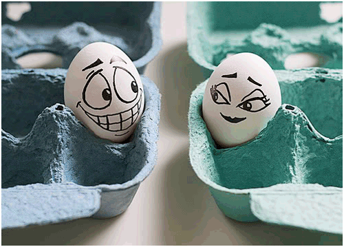 eggs flirting Guy and Girl Eggs flirting in an egg carton